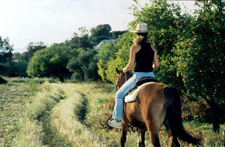 Cyprus-Cyprus-Aphrodite Trails